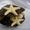  шоколад ручной работы,эксклюзивные  шоколадные подарки, шоколадные изделия - <ro>Изображение</ro><ru>Изображение</ru> #1, <ru>Объявление</ru> #67517