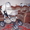 Продам универсальную коляску ADAMEX 2в1 - <ro>Изображение</ro><ru>Изображение</ru> #1, <ru>Объявление</ru> #261336