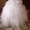 Wonderful Свадебное платье!!!! супер - <ro>Изображение</ro><ru>Изображение</ru> #2, <ru>Объявление</ru> #304467