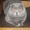 Шотландские вислоухие  котята. - <ro>Изображение</ro><ru>Изображение</ru> #2, <ru>Объявление</ru> #297937