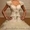 Продам свадебное платье б/у Оксаны Мухи - Брук #281893