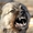 Ультразвуковой портативный отпугиватель собак с фонариком - <ro>Изображение</ro><ru>Изображение</ru> #2, <ru>Объявление</ru> #355953