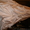 продам свадебное платье из натурального шелка - <ro>Изображение</ro><ru>Изображение</ru> #1, <ru>Объявление</ru> #345911