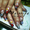 Наращивание ногтей, маникюр, педикюр, художественная роспись, лепка - <ro>Изображение</ro><ru>Изображение</ru> #4, <ru>Объявление</ru> #367038