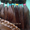 Натуральные волосы НИЗКИЕ ЦЕНЫ - <ro>Изображение</ro><ru>Изображение</ru> #4, <ru>Объявление</ru> #356334