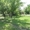 дачный участок-сад,трава, лето - <ro>Изображение</ro><ru>Изображение</ru> #3, <ru>Объявление</ru> #591627