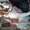 чудные щеночки московской сторожевой - <ro>Изображение</ro><ru>Изображение</ru> #3, <ru>Объявление</ru> #583061