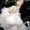 продам элитное свадебное платье - <ro>Изображение</ro><ru>Изображение</ru> #2, <ru>Объявление</ru> #613358