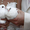 белые свадебные голуби - <ro>Изображение</ro><ru>Изображение</ru> #1, <ru>Объявление</ru> #669325