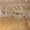 Аренда зала для танцев, фитнеса, семинаров...  - <ro>Изображение</ro><ru>Изображение</ru> #1, <ru>Объявление</ru> #748298