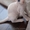 Котенок шоу-класса породы девон-рекс , Днепропетровск - <ro>Изображение</ro><ru>Изображение</ru> #1, <ru>Объявление</ru> #708103