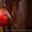 Шоколадный фонтан, Фонтан для Мартини, Днепропетровск - <ro>Изображение</ro><ru>Изображение</ru> #3, <ru>Объявление</ru> #773290