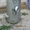 Продам стерилизатор паровой ВК-75 автоклав - <ro>Изображение</ro><ru>Изображение</ru> #2, <ru>Объявление</ru> #768353