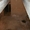 Продам гараж Г.К."Планер" Левобережный-3 - <ro>Изображение</ro><ru>Изображение</ru> #6, <ru>Объявление</ru> #789486