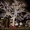 Светодиодная подсветка фасадов, деревьев и улиц - <ro>Изображение</ro><ru>Изображение</ru> #1, <ru>Объявление</ru> #794094