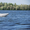 Лодка пластиковая БАРС 350 - <ro>Изображение</ro><ru>Изображение</ru> #10, <ru>Объявление</ru> #800369