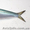 Рыба сардинелла свежемороженая ,  рыбное сырье #800000