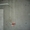 Подвальные помещения своб. назначения в ж/к «Олимпик» - <ro>Изображение</ro><ru>Изображение</ru> #4, <ru>Объявление</ru> #811624