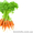 оптовая продажа овощей - <ro>Изображение</ro><ru>Изображение</ru> #1, <ru>Объявление</ru> #824740