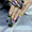 Курсы китайской росписи на ногтях - <ro>Изображение</ro><ru>Изображение</ru> #2, <ru>Объявление</ru> #829727