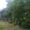 Продам дом в с. Башмачка солонянского района. Большой огород, рядом ставок. - <ro>Изображение</ro><ru>Изображение</ru> #9, <ru>Объявление</ru> #898883