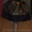 Продам выпускное платье!Купила в 2012 году - <ro>Изображение</ro><ru>Изображение</ru> #1, <ru>Объявление</ru> #901353
