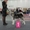 Щенки аляскинского маламута от Чемпионов! - <ro>Изображение</ro><ru>Изображение</ru> #8, <ru>Объявление</ru> #930519