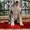 Щенки аляскинского маламута от Чемпионов! - <ro>Изображение</ro><ru>Изображение</ru> #3, <ru>Объявление</ru> #930519