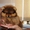 Продам щенка померанского шпица VIP-classa  - <ro>Изображение</ro><ru>Изображение</ru> #3, <ru>Объявление</ru> #939107