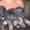 Чистокровные щенки немецкой овчарки - <ro>Изображение</ro><ru>Изображение</ru> #3, <ru>Объявление</ru> #947322