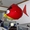 Летающая рыба энгри бердс на радиоуправлении #956969
