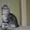 Крупные котята мейн кун из питомника #977937