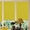 Тканевые роллеты  Днепропетровск рулонные шторы  ролеты изготовл - <ro>Изображение</ro><ru>Изображение</ru> #1, <ru>Объявление</ru> #1019709