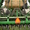 Сеялка Great Plains CTA 4000 HD 12-метровая пневматическая Б/и - <ro>Изображение</ro><ru>Изображение</ru> #7, <ru>Объявление</ru> #1023891