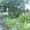 продам дачу в садово-огородном кооперативе в черте города - <ro>Изображение</ro><ru>Изображение</ru> #1, <ru>Объявление</ru> #1033142
