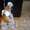 Ботинки женкие Timberland - <ro>Изображение</ro><ru>Изображение</ru> #1, <ru>Объявление</ru> #1032104