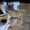 Ботинки женкие Timberland - <ro>Изображение</ro><ru>Изображение</ru> #5, <ru>Объявление</ru> #1032104