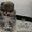 Эксклюзивные мини щеночки карликового померанского шпица VIP-classa! - <ro>Изображение</ro><ru>Изображение</ru> #1, <ru>Объявление</ru> #1052360