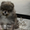 Эксклюзивные мини щеночки карликового померанского шпица VIP-classa! - <ro>Изображение</ro><ru>Изображение</ru> #4, <ru>Объявление</ru> #1052360