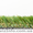 Ландшафтная трава JUTA Garden - <ro>Изображение</ro><ru>Изображение</ru> #1, <ru>Объявление</ru> #1057261