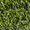 Искусственная  трава JUTA  Winner 40/160  - <ro>Изображение</ro><ru>Изображение</ru> #2, <ru>Объявление</ru> #1057556