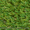 Ландшафтная трава JUTA Garden - <ro>Изображение</ro><ru>Изображение</ru> #2, <ru>Объявление</ru> #1057261