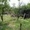 Продам земельный участок под застройку, 4км от Днепропетровска - <ro>Изображение</ro><ru>Изображение</ru> #3, <ru>Объявление</ru> #1061266