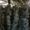 мицелий вешенки от 5 кг Днепропетровск - <ro>Изображение</ro><ru>Изображение</ru> #3, <ru>Объявление</ru> #1074875