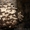 мицелий вешенки от 5 кг Днепропетровск - <ro>Изображение</ro><ru>Изображение</ru> #1, <ru>Объявление</ru> #1074875
