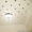 Декоративные потолки - <ro>Изображение</ro><ru>Изображение</ru> #6, <ru>Объявление</ru> #991444