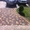 Укладка тротуарной плитки, бордюры!!! - <ro>Изображение</ro><ru>Изображение</ru> #1, <ru>Объявление</ru> #1092402