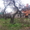 Продам домовладение на ул Артема в Днепропетровске - <ro>Изображение</ro><ru>Изображение</ru> #5, <ru>Объявление</ru> #1097342