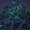 Мурайя цветущая (Муррайя, Murraya exotica, M. paniculata) - <ro>Изображение</ro><ru>Изображение</ru> #3, <ru>Объявление</ru> #1127123