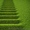 Купить.Рулонный газон, гарантия и качество - <ro>Изображение</ro><ru>Изображение</ru> #1, <ru>Объявление</ru> #1146982